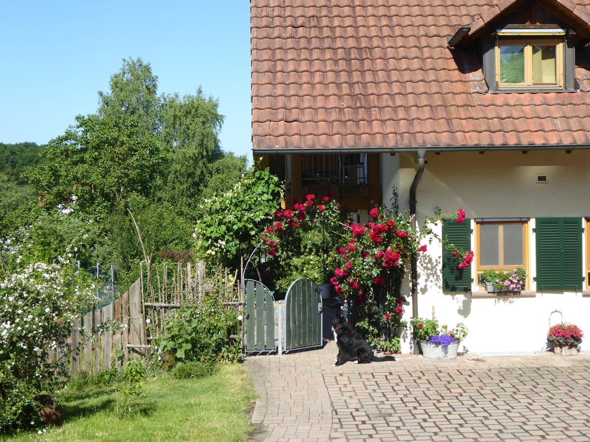 Ferienwohnung Waldblick Zweibruecken Ngoại thất bức ảnh